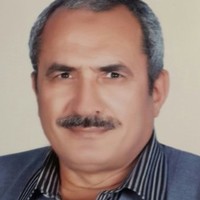 Mohamad Elkerdawy