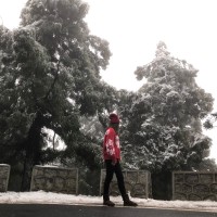 谢安其