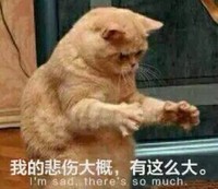 张登友