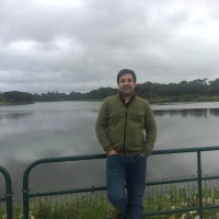 Luís Brasileiro