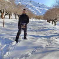 Mohsen Ghavasi