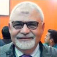 Mohamed F Hussein Ali