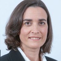 Hofit Gotesdyner