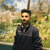 Usman Ali