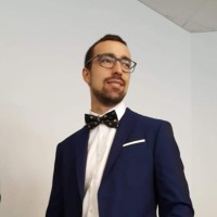 Luca Pertoldi