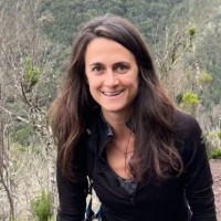 Jane Mangione