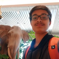 Shubham Roy