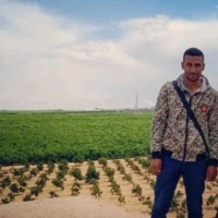 Ahmed Edrees