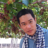 Tuan Vo