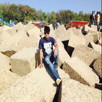 Md Rashed