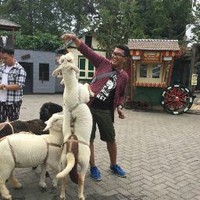 Ibnu Humaidy