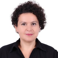 Sevgi Onay, Pmp®