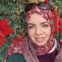 Dina Hammad