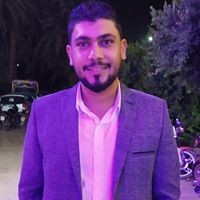 Mahmoud Abdel Aleem