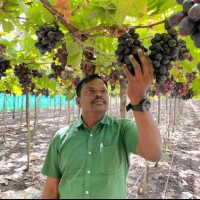 Dinesh Uikey