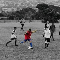 Assis Belfor