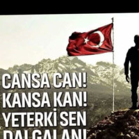 yaşar ulusoy