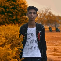 Dinesh Baghel