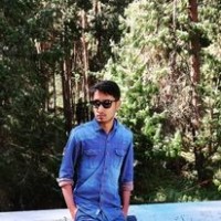 Thameem Ansari