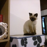 Walter Malagón Ruiz