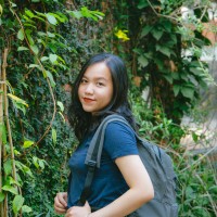 Viet Linh