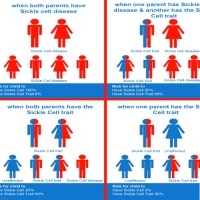 Australian Sickle Cell Advocacy (ASCA)