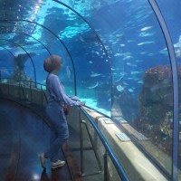 Sabrina dahbia gasmi