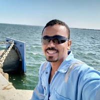 حسام المصري
