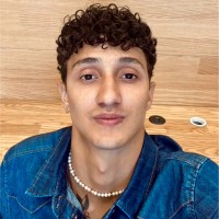 Luis Henrique Cruz Novais