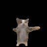 S Far