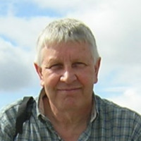 Peter Madden