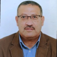 amgad ali