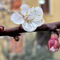 Communication Le Valentin