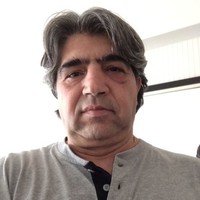 M Hamid Pashaei