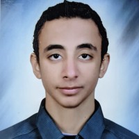 Hossam Kamel
