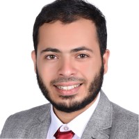 Mostafa N.