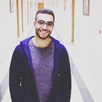 Mohamed Hassanien Al-Hakem