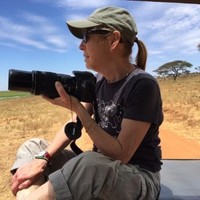 Judith Davison
