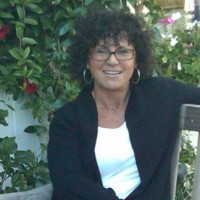 Traci Werbel