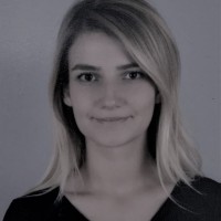 Neslihan Bakirci Danir
