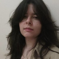 Ingrid De Camargo Pereira