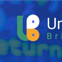 Universal Bridge
