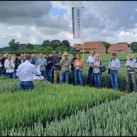 Jean-Christophe Depas