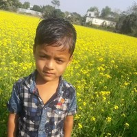 Md Liton
