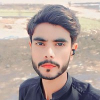 Ali Hamza