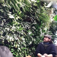 Felipe Andrés Venegas Platín