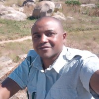 Nicholas Tandi