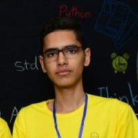 Reza Effati Moghaddam