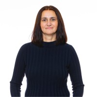 Amira Basic Balkenstig