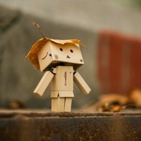 吴登鑫